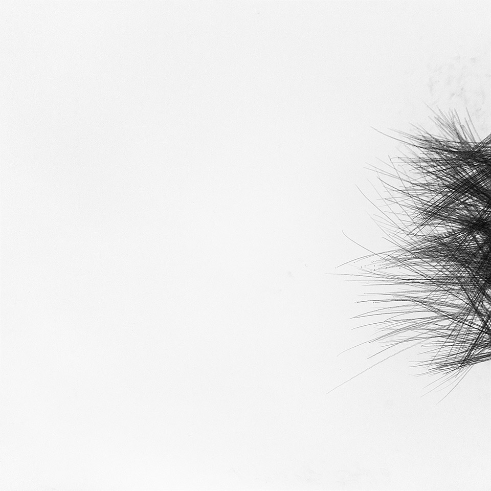 abstract drawing by michel schneider for ernst lohmann
