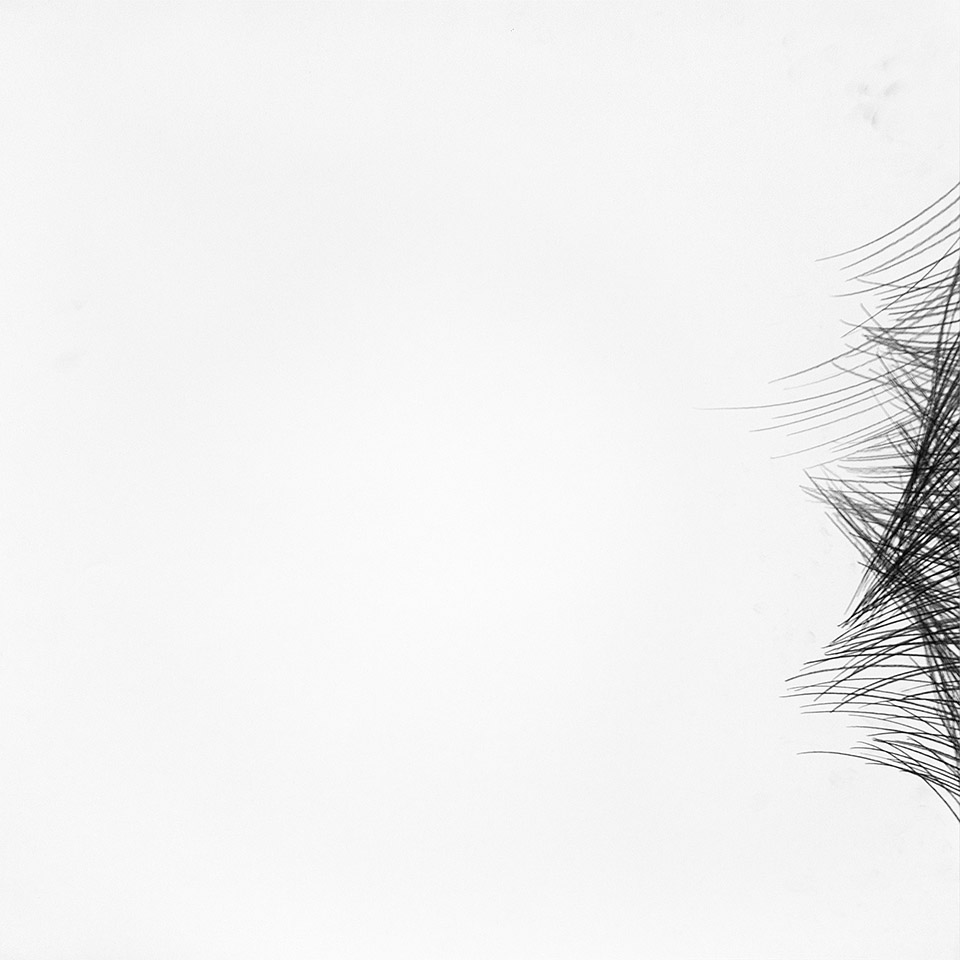 abstract drawing by michel schneider for ernst lohmann