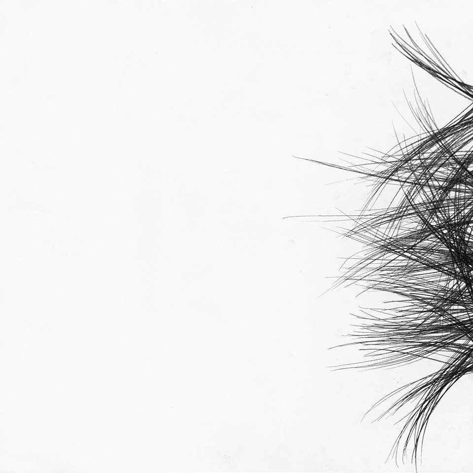 abstract drawing by michel schneider for ernst lohmann