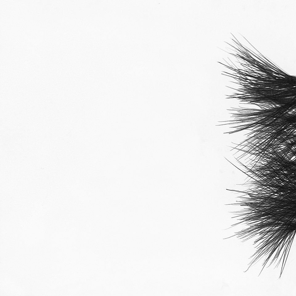 abstract drawing by michel schneider for ernst lohmann